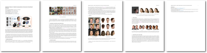 paper preview
