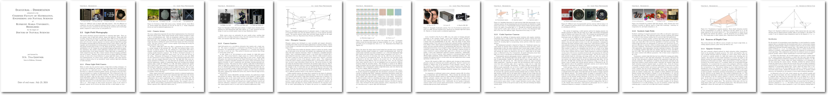 thesis preview